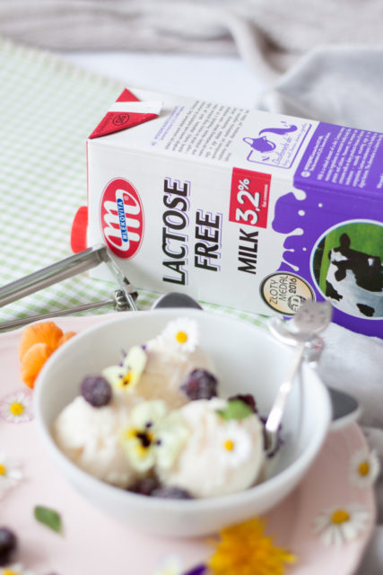 Jogurtowe lody bez laktozy i jajek 